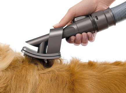 Dyson groom