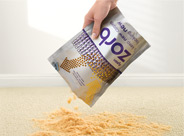 Dyson Zorb trade carpet cleaner